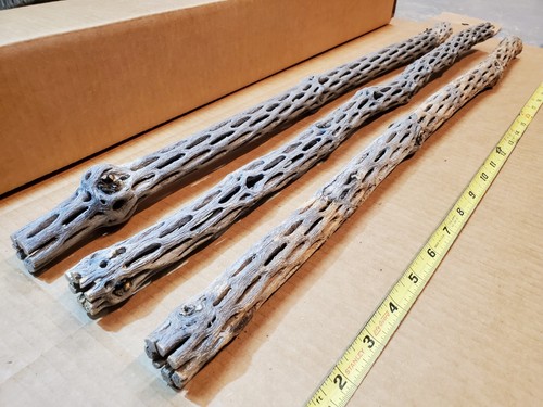 New cholla wood pieces - cholla, 24"